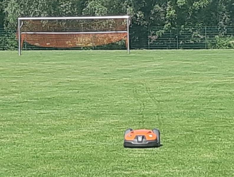Rasenpflege mit Mähroboter